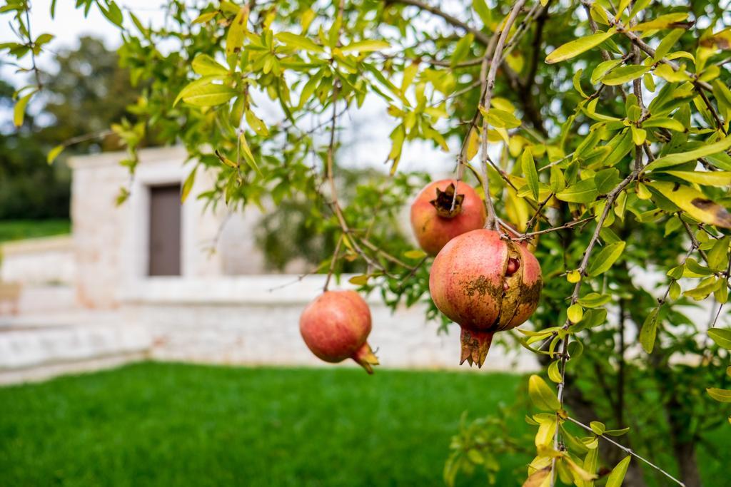 Masseria Paretano Villa Alberobello Exterior foto
